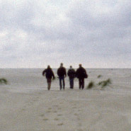 Generation Undecided